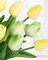 30PCS Summer Floral Arrangement – Artificial Tulips, Real Touch Faux PU Flowers for Table Centerpieces, Kitchen, Home Decor (Mix Green)